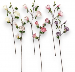 097 Cveće od organskih materijala